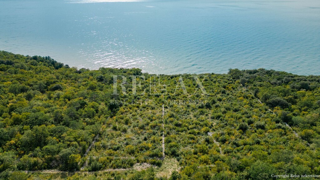 Image 6154355 - 5