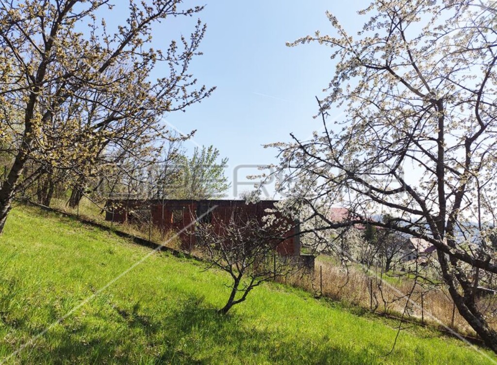 Image 6154361 - 4