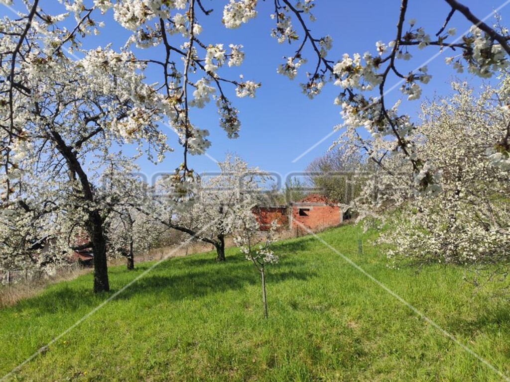 Image 6154361 - 3