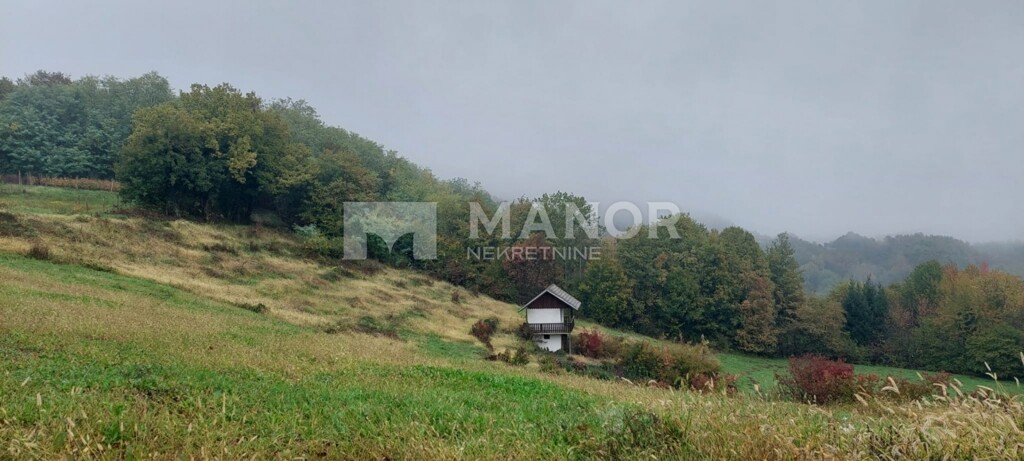 Image 6154443 - 4