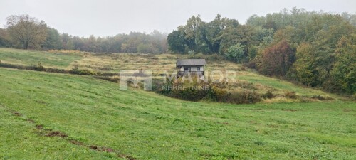Thumbnail 6154443 - 1