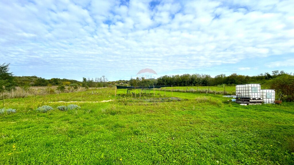 Image 6154456 - 14