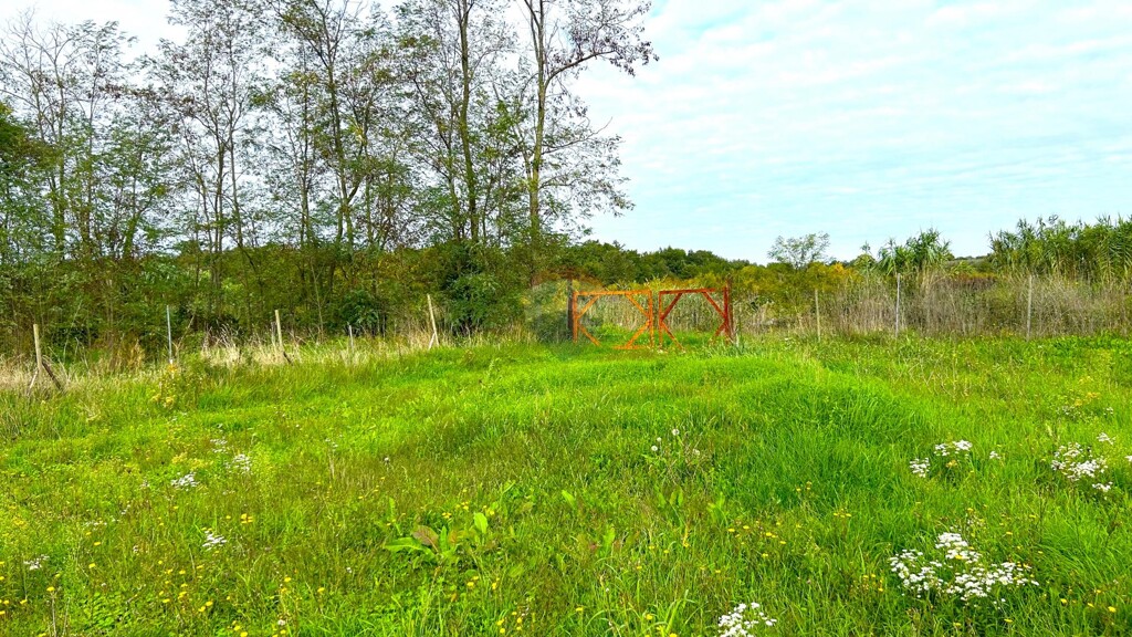 Image 6154456 - 7