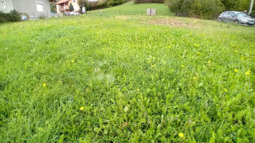 Građevinsko zemljište na odličnoj lokaciji u Markuševcu, pri