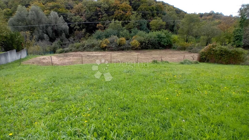 Image 6156587 - 3