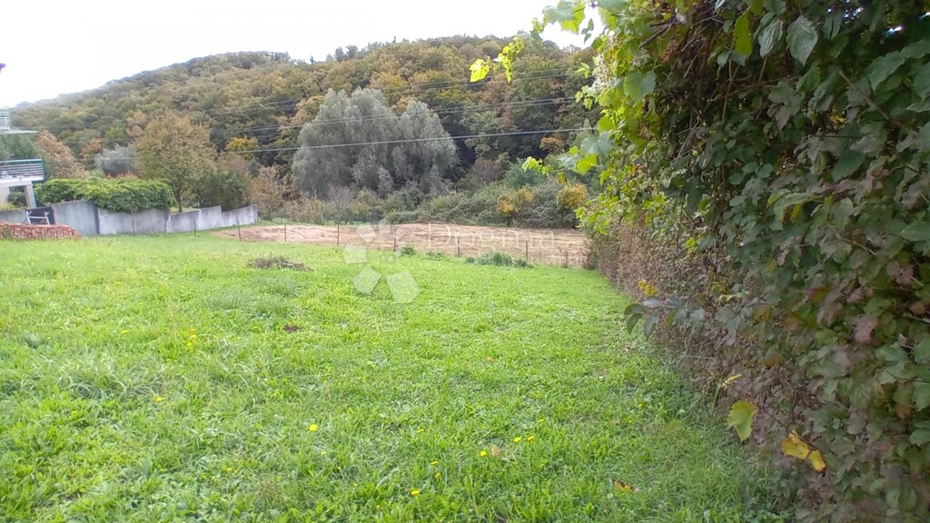 Image 6156587 - 4