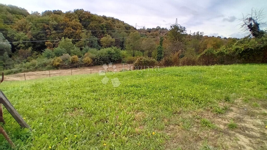 Image 6156587 - 7