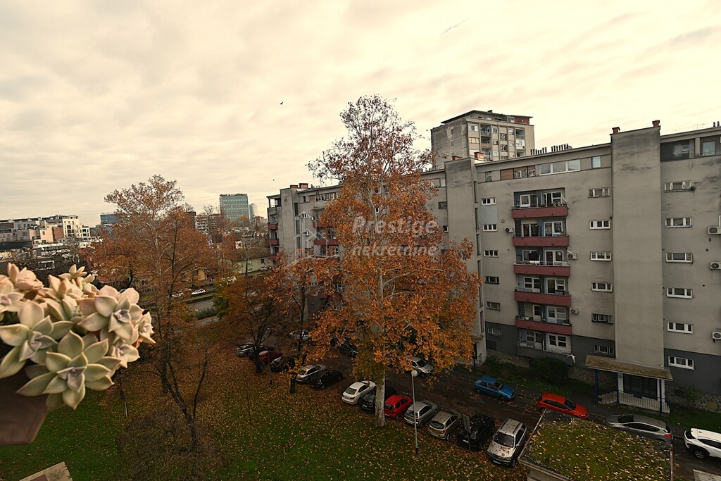 Image 6156989 - 8