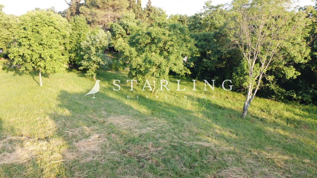 Image 6156994 - 5