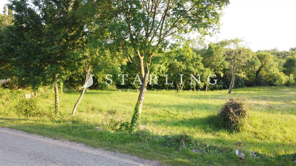 Image 6156994 - 7