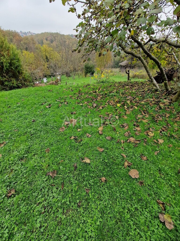 Image 6157060 - 5