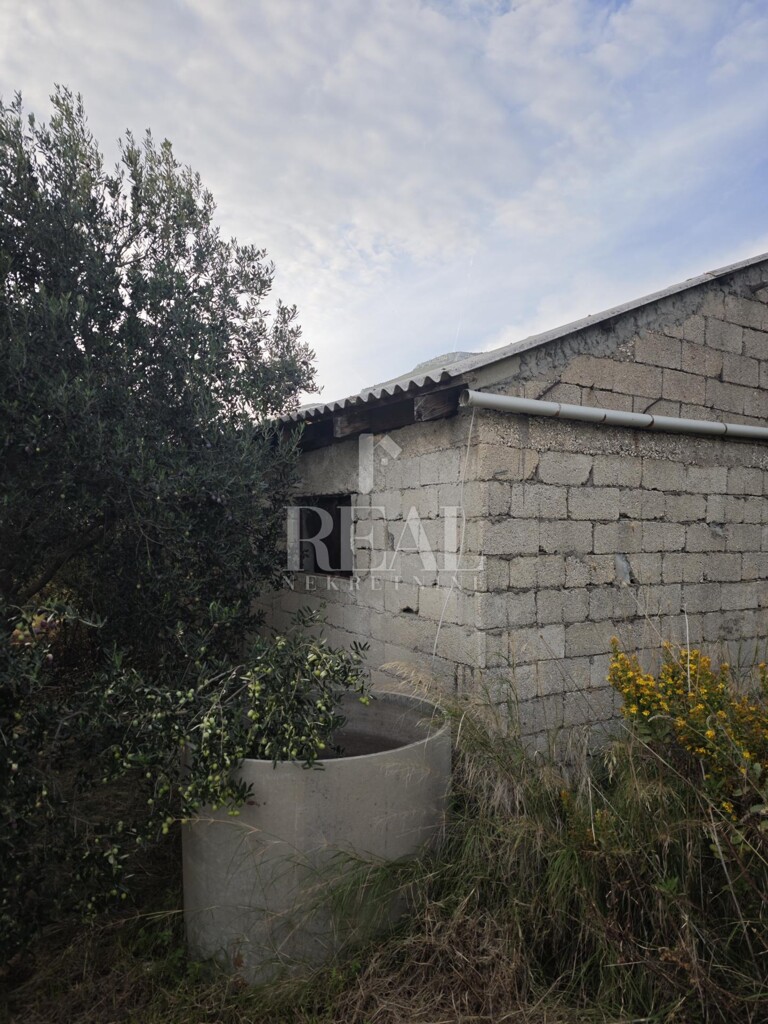 Image 6157068 - 7