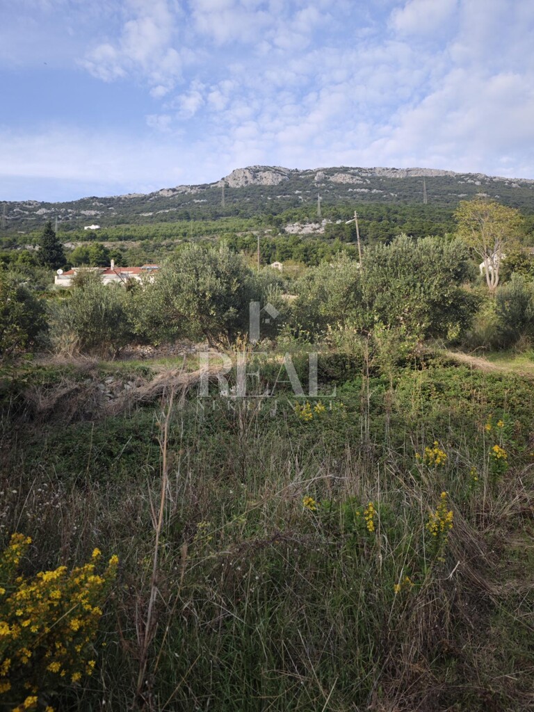 Image 6157068 - 8