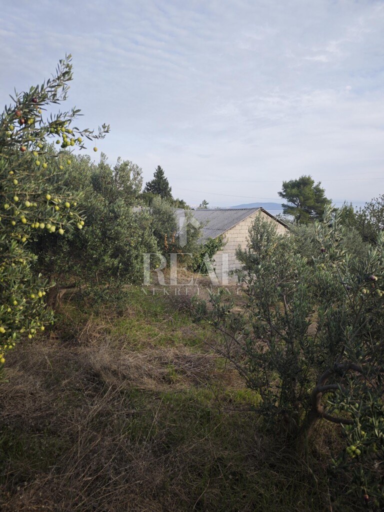 Image 6157068 - 4