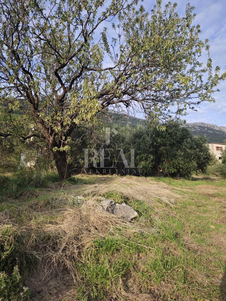 Image 6157068 - 6
