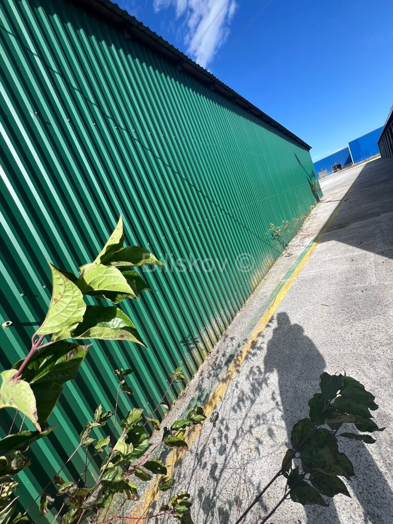 Image 6157074 - 11