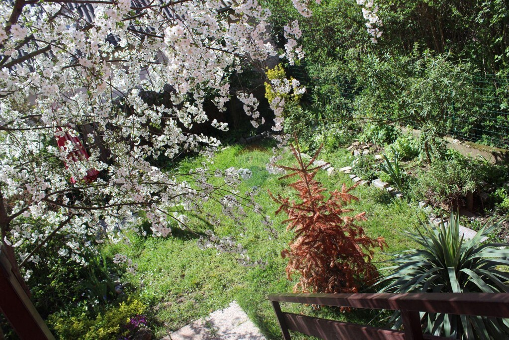 Image 6157255 - 8