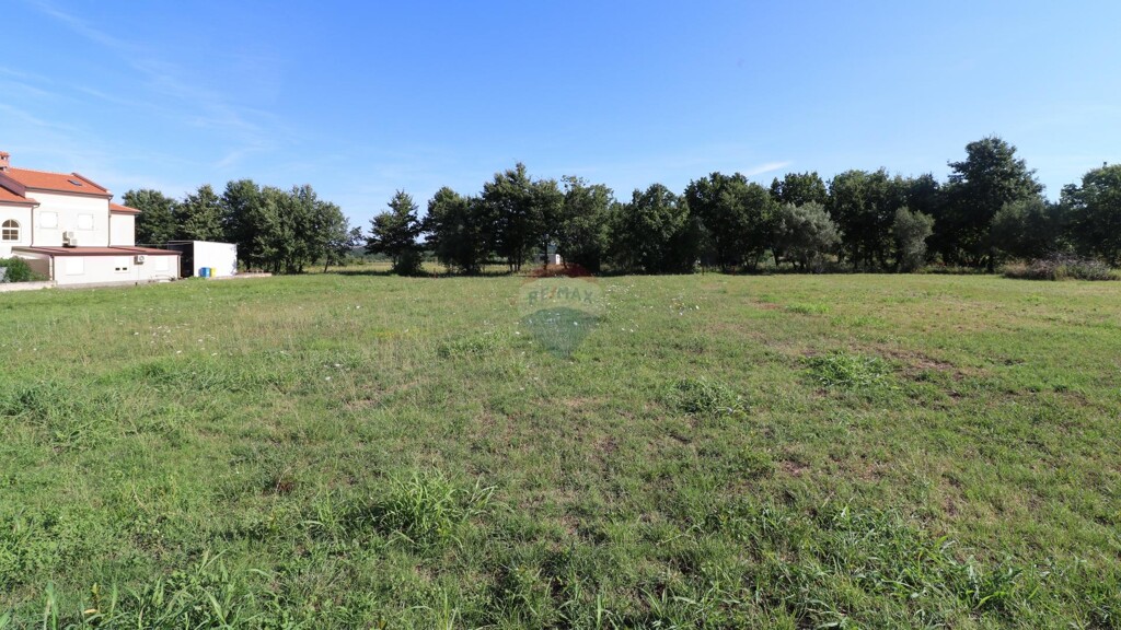 Image 6157256 - 1