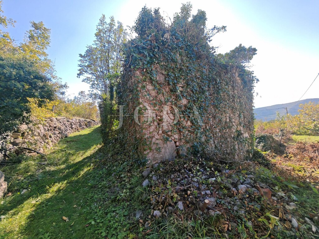 Image 6157508 - 9