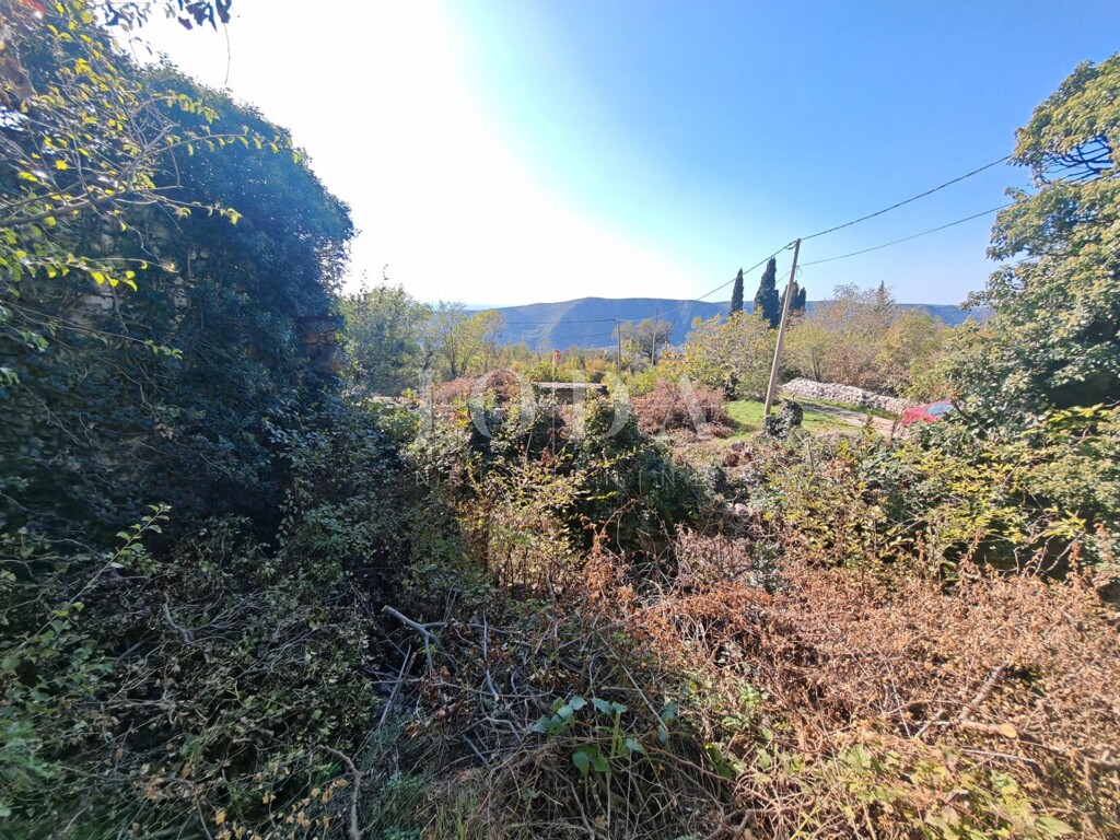 Image 6157508 - 2