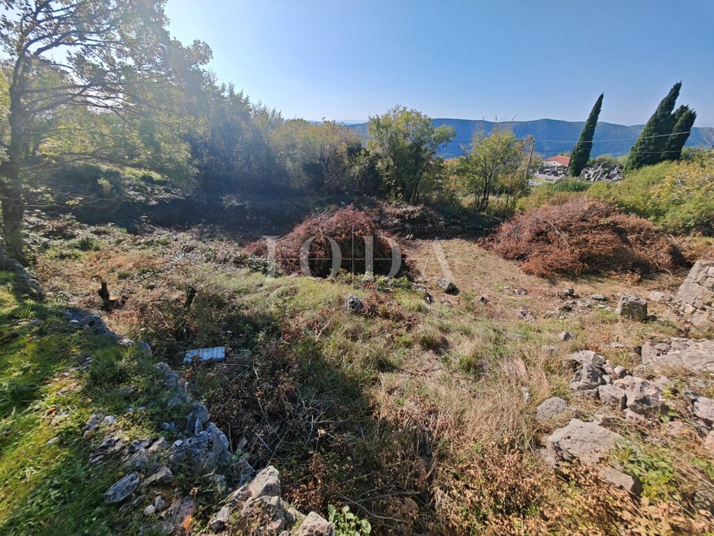 Image 6157508 - 3