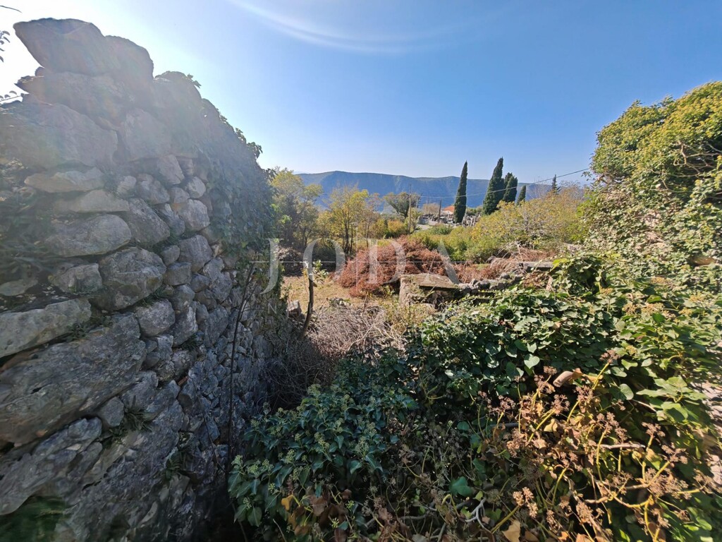 Image 6157508 - 6