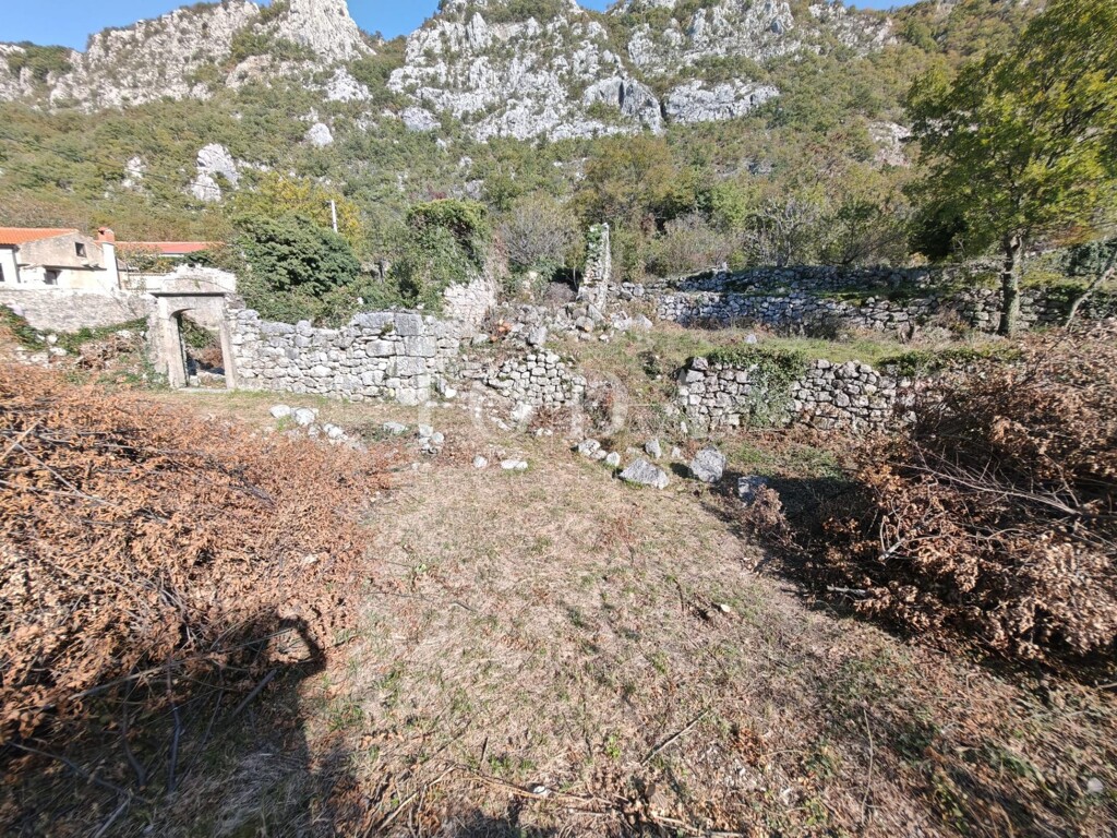 Image 6157508 - 8