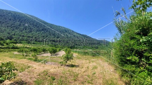 Vlaka - Tuštevac, Tuštevac, 42.253,00 m2, 1,00 EUR