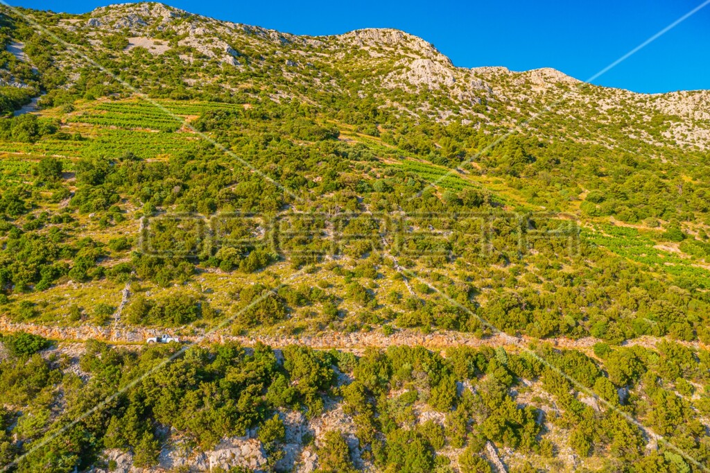 Image 6157749 - 12