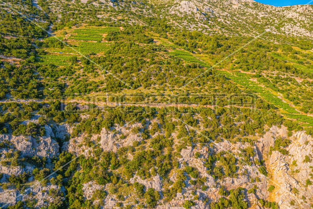 Image 6157749 - 5