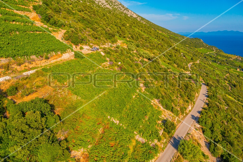Image 6157749 - 11
