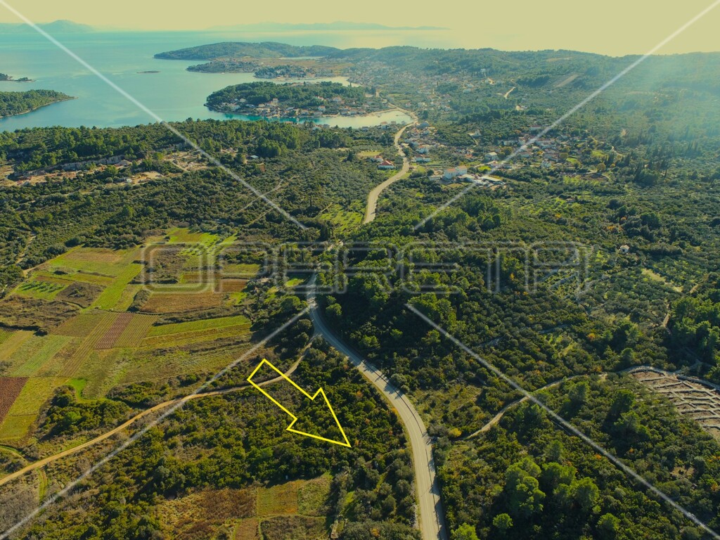Image 6157755 - 2
