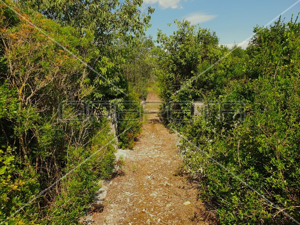 Image 6157755 - 9