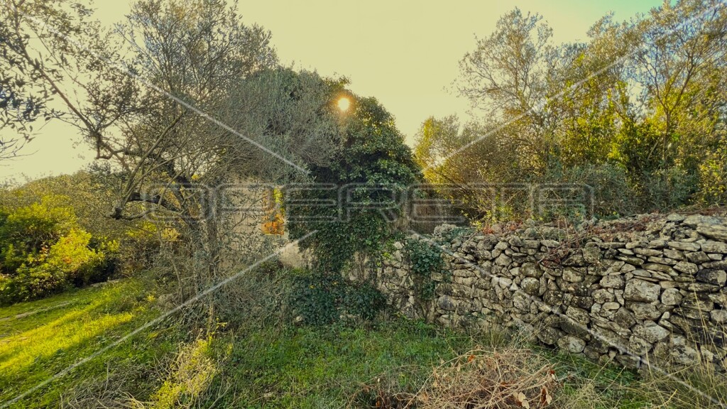 Image 6157755 - 13