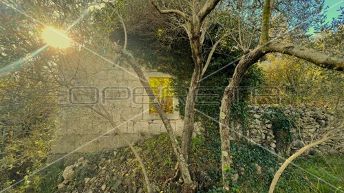 Thumbnail 6157755 - 12