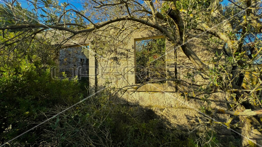 Image 6157755 - 7