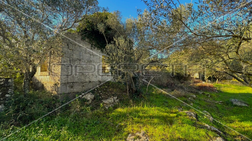 Image 6157755 - 15