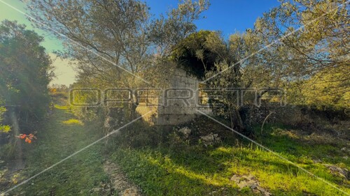 Thumbnail 6157755 - 11
