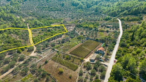 Poljoprivredno zemljište, Vela Luka, 8.846 m2