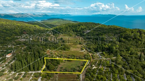 Poljoprivredno zemljište 3.370 m2, Žrnovo, Korčula