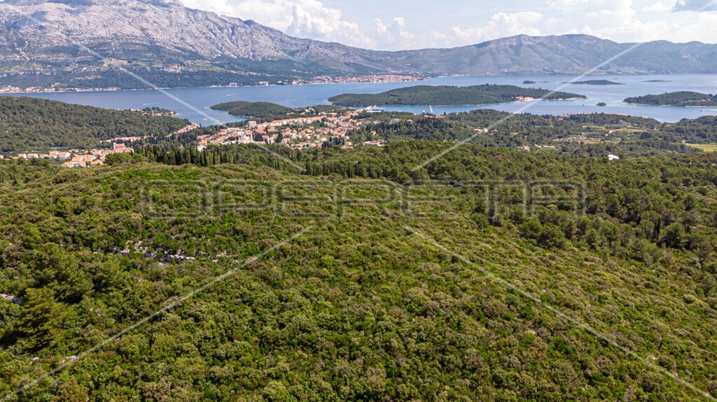 Image 6157762 - 6