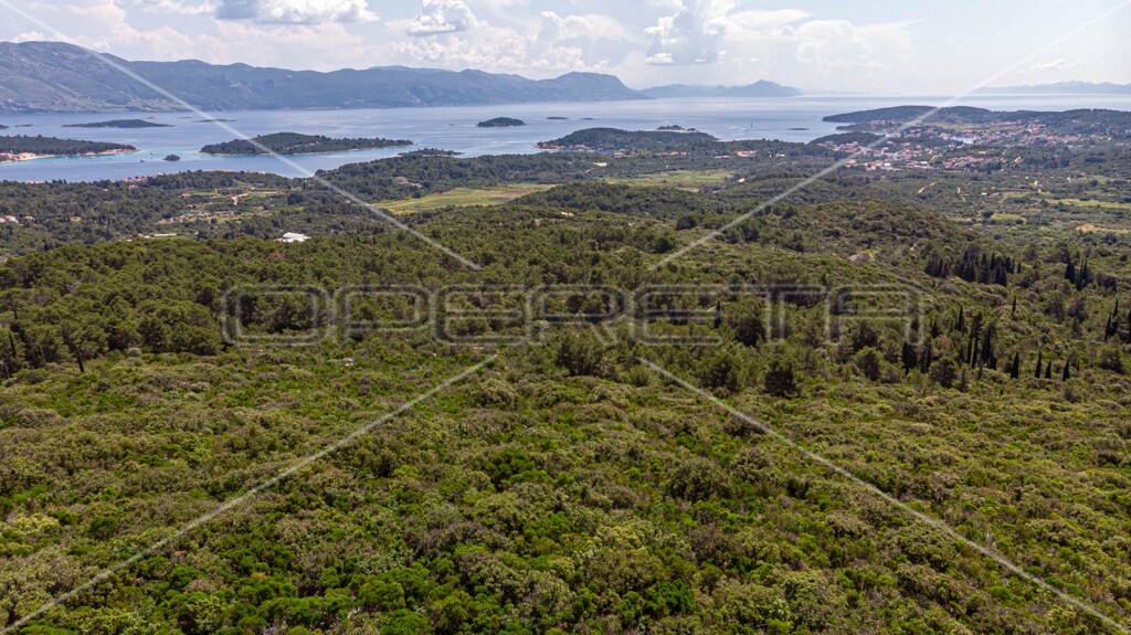 Image 6157762 - 2