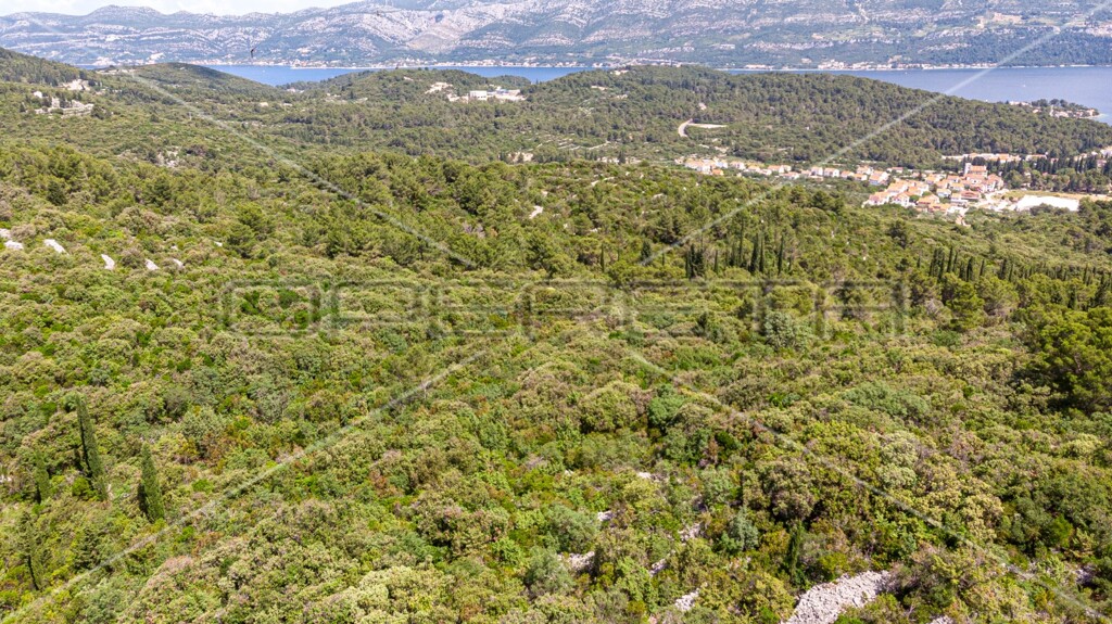 Image 6157762 - 19