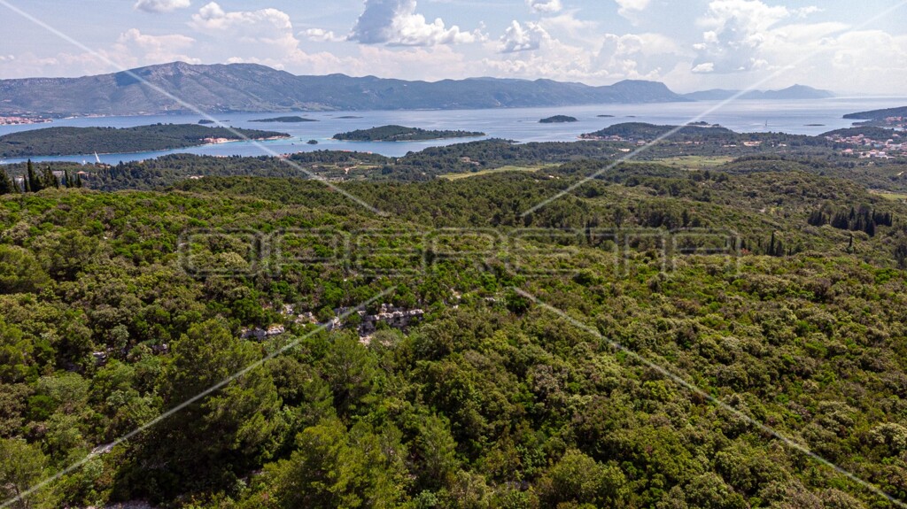 Image 6157762 - 9