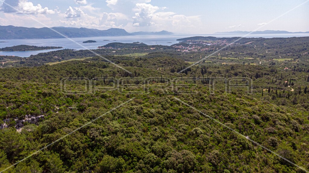 Image 6157762 - 10