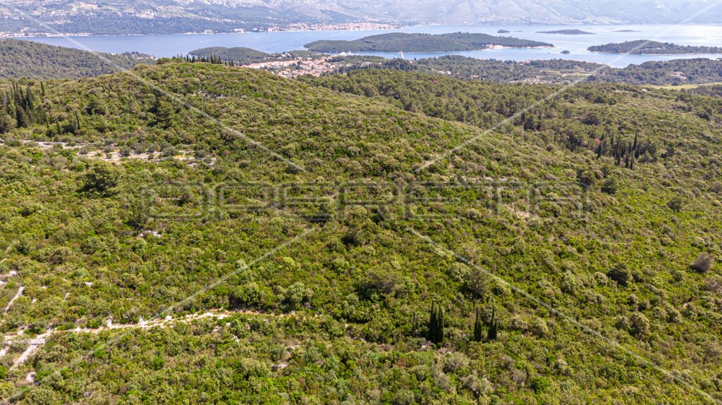 Image 6157762 - 13