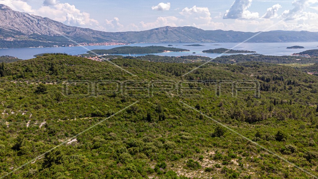 Image 6157762 - 5