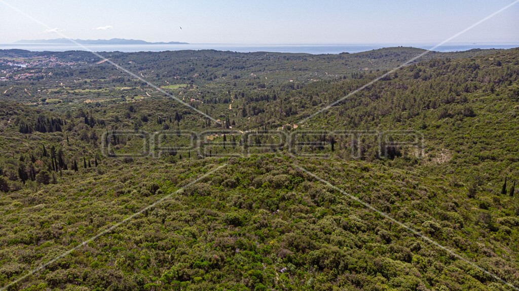 Image 6157762 - 3