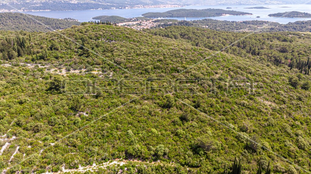 Image 6157762 - 15