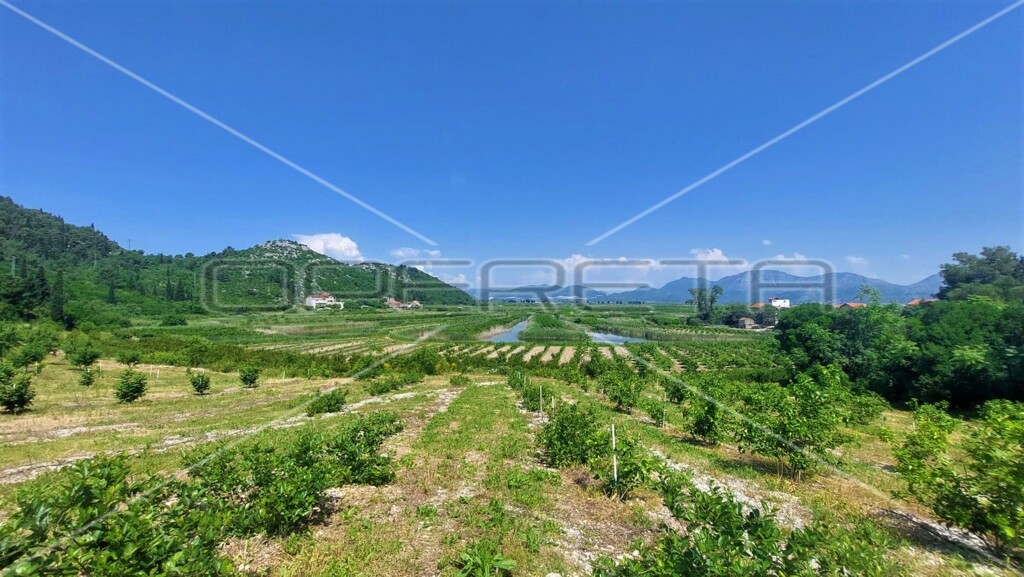 Image 6157763 - 22